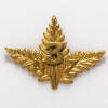 badge, regimental 1995x2.75.2
