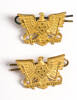 badges, regimental 2015.x.205.2