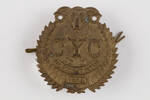 badge, regimental, 2019.62.232, Photographed 23 Jan 2020, © Auckland Museum CC BY