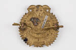 badge, regimental, 2019.62.232, Photographed 23 Jan 2020, © Auckland Museum CC BY