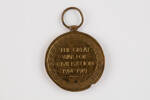 medal, campaign, 2019.62.555.4, Photographed 23 Jan 2020, © Auckland Museum CC BY