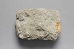 Andesite, GE7472, © Auckland Museum CC BY
