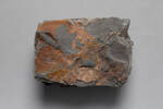 Argillite, Pyrite, GE7558, © Auckland Museum CC BY