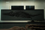 Ichthyosaurus tenuirostris, LH1176, © Auckland Museum CC BY