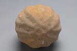 Concretion, GE15825, © Auckland Museum CC BY