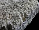 Closeup of large block of gypsum with 2 layers of crystals separated by volcanic ash. Donated by G.R. Buttle in 1949. Probably deposited on the margins of the crater lake. H.R. Grenfell 2015.