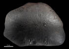 Auckland Meteorite, GE15574, © Auckland Museum CC BY