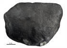 Auckland Meteorite, GE15574, © Auckland Museum CC BY