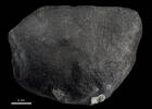 Auckland Meteorite, GE15574, © Auckland Museum CC BY
