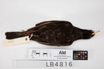 Turdus merula, LB4816, © Auckland Museum CC BY