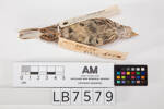 Calcarius ornatus, LB7579, © Auckland Museum CC BY
