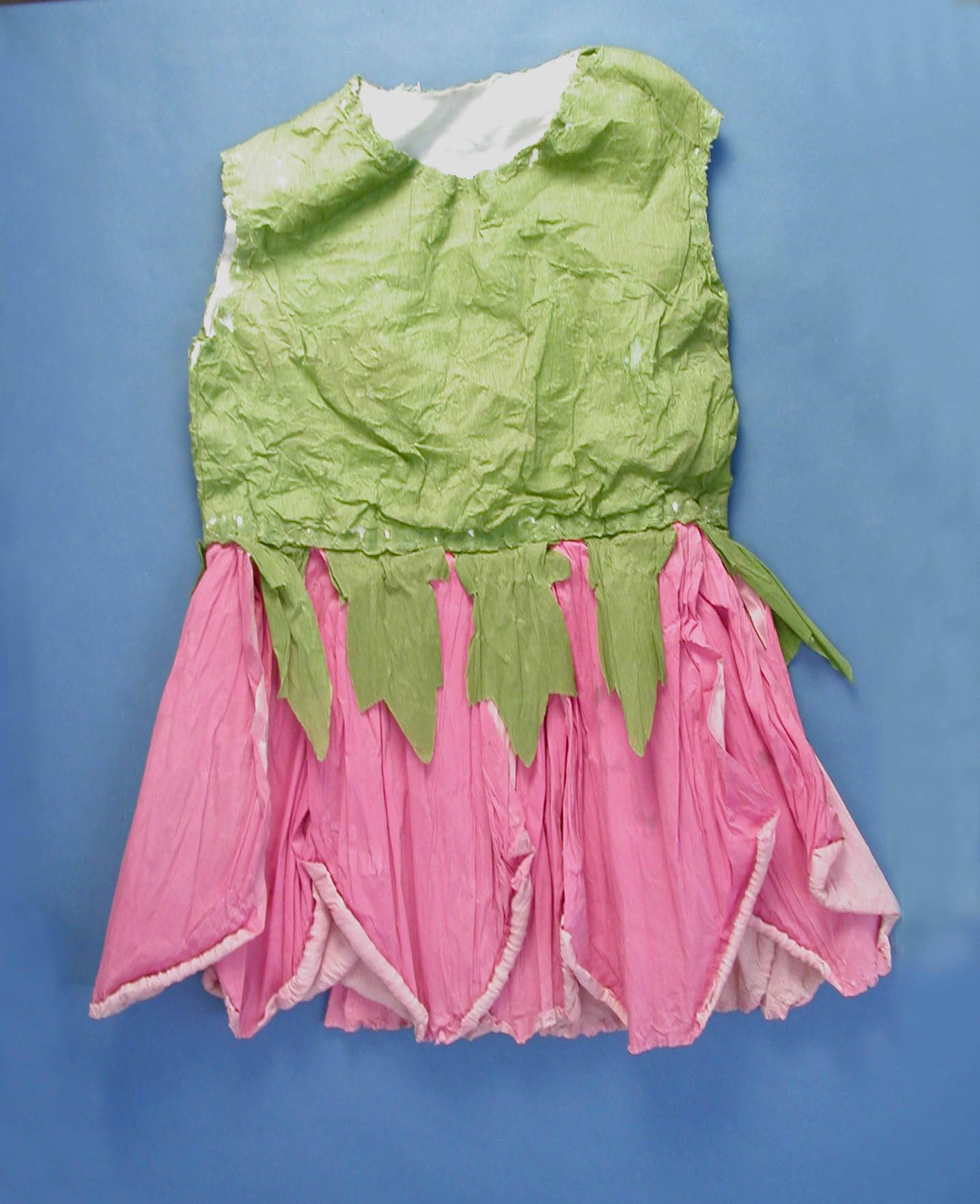 fancy dress costume - front [2002.104.1]