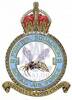 213 Squadron RAF Badge.