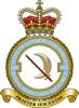 Correct Squadron Crest