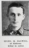 Rifleman Henry MAXWELL # 18685
of Gisborne 
7 June 1917 - Killed in Action, in France