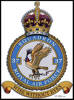 37 Squadron RAF Badge.