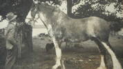 Kenny in 1936 with &quot;Bonny Ideal&quot; bred by 
W. Doyle Templeton