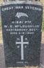 NZEF, Great War Veteran 41861 Pte W S McLOUGHLIN, Canterbury Regt, died 2 June 1947 aged 52.