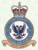 
107 Squadron RAF Badge.