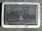 W.J. (Cheno) MULLIGAN67438 W.O. 22nd NZEFJ Force KoreaDied 1.9.1998 Aged 73 yrsHe is buried in the Papakura South CemeteryPlot RSA Lawn Row A Plot 07