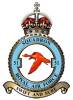 51 Squadron RAF Badge.