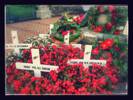 Crosses were erected bearing the names of all those inscribed onto the memorial. Anzac Day 2015.