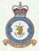 256 Squadron RAF Badge.