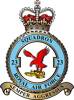 23 Squadron RAF Badge.