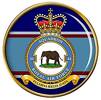 44 Squadron RAF Badge.