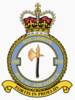 105 Squadron RAF Emblem.