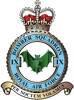 9 Squadron RAF Badge.
