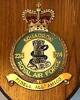 224 Squadron RAF Badge.
