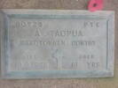 picture of where Taopua is buried