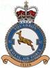 90 Squadron RAF Badge.