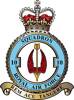10 Squadron RAF Badge