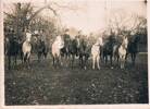 Photo of wounded soldiers riding horses in the New Forest Hampshire in Dec 1917. Douglas, 2nd from left.