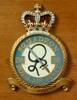 138 Squadron RAF Badge.