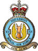 15 Squadron RAF Badge.