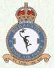 156 Squadron Badge. 