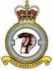 114 Squadron RAF Badge.