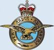 299 (Special Operations) Squadron RAF Emblem.