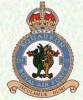 235 Squadron RAF Badge.