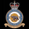 249 Squadron RAF Badge.