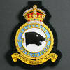 146 Squadron RAF Badge.