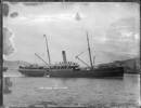 Wilfred left New Zealand on March 27th, 1915 aboard SS Talune bound for Apia, Western Samoa arriving April 3rd, 1915.