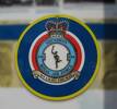 156 Squadron RAF Badge.