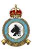 137 Squadron RAF Badge.