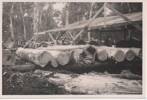 Sawmill, Guadalcanal WW2. No. 1 Island Works Squadron RNZAF