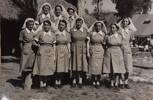 1943-1944, NZ General Hospital in New Caledonia: Nursing sisters in the grounds. Charge Sister E. Cargo (Auckland), centre of the front row. Official War Photograph.