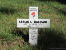 Family plot memorial to Edwin BALDWIN
Photographed 5 January 2013, Waikumete Cemetery, Auckland, New Zealand